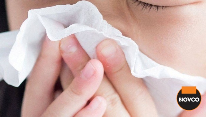 Influenza merupakan penyakit yang disebabkan oleh virus influenza yang menjangkiti hidung, tekak dan paru-paru