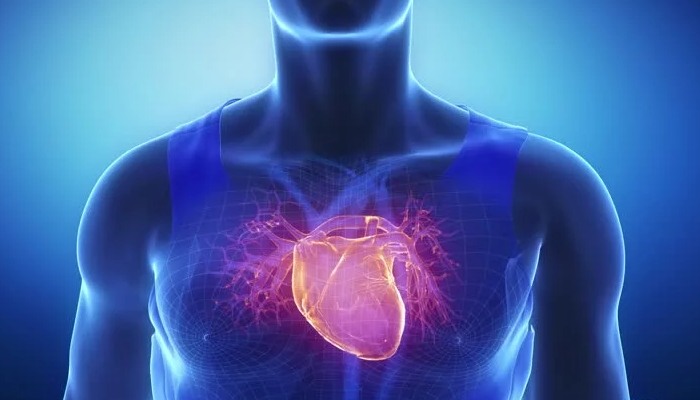 jantung bengkak? Apa yang menjadi penyebab dan bagaimana cara mengatasinya? BioVCO