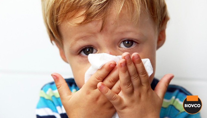 Resdung, penghidap resdung akan mengalami gejala selesema seperti hidung tersumbat, rasa sakit pada pipi, sekitar mata. BioVCO