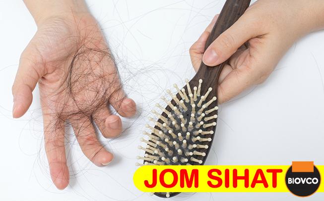 Punca rambut gugur dan cara mengatasi dengan BioVCO