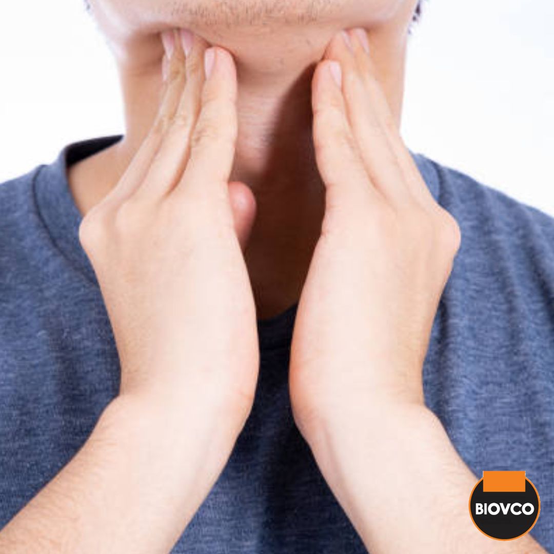 Kelenjar tiroid yang menghasilkan hormon tiroid adalah amat penting dalam mengawal metabolisma